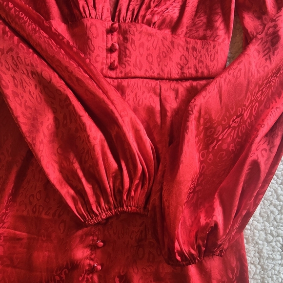 Red Leopard Jacquard Satin Mini Dress - Picture 12 of 15